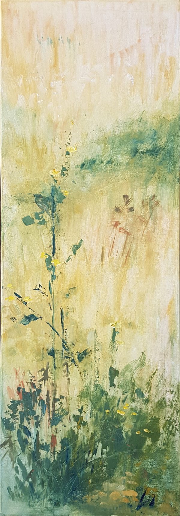 Meadow: Summer