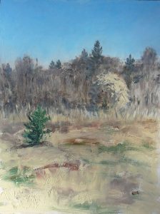 Spring