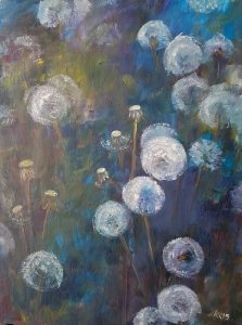 Meadow: Dandelions' softness