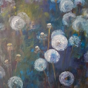 Meadow: Dandelions' softness