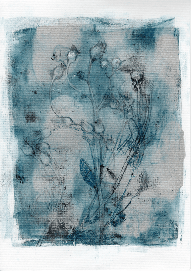 Ohakal on v&auml;gi &deg;1 - Image 1