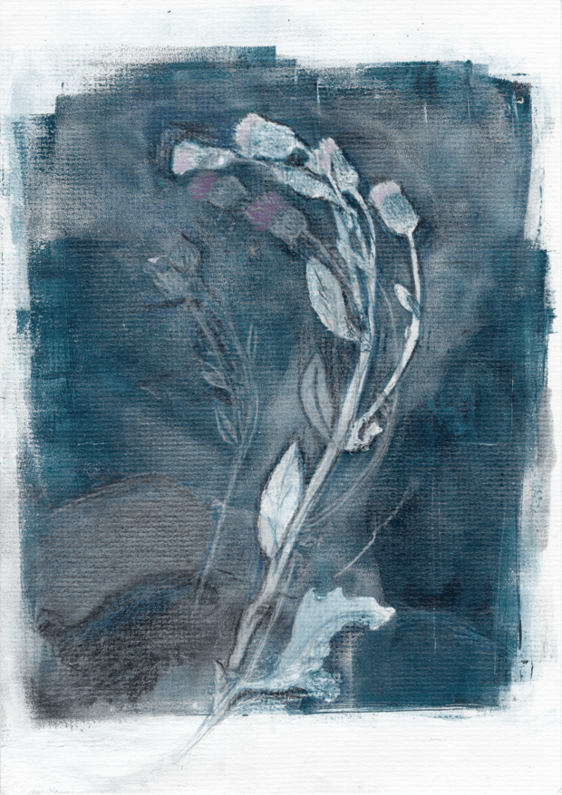 Ohakal on v&auml;gi &deg;2 - Image 1