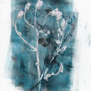 Ohakal on v&auml;gi &deg;5