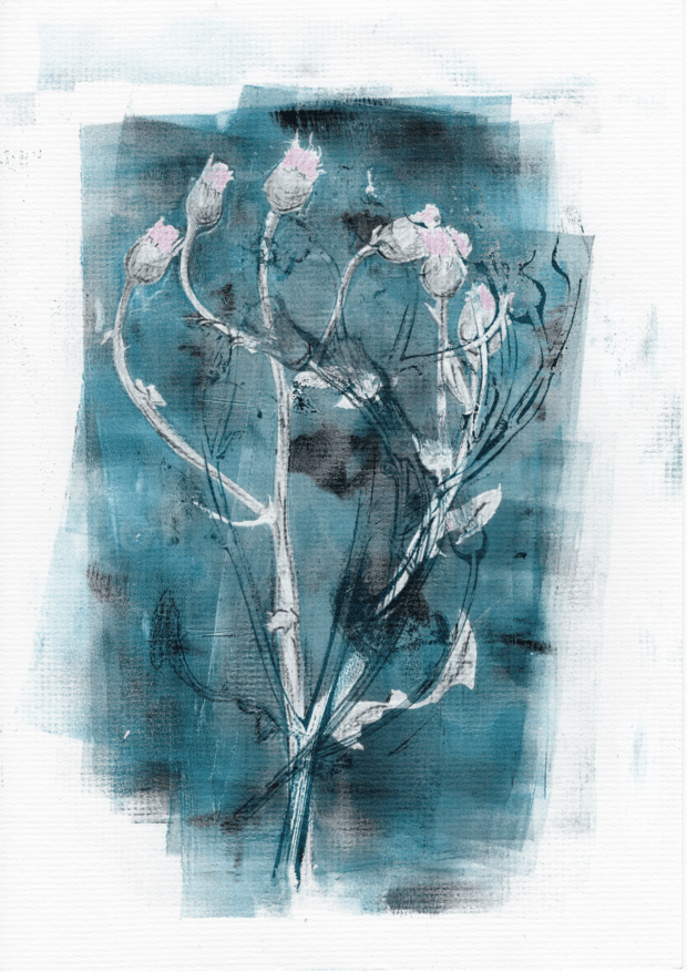 Ohakal on v&auml;gi &deg;5 - Image 1