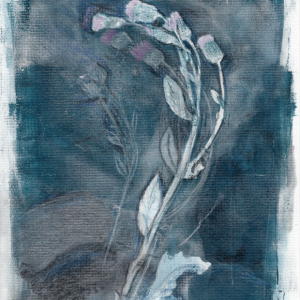 Thistle has a power °2