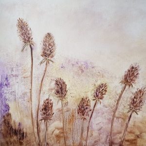 Meadow: Morning thistle