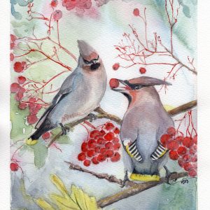 Bohemian waxwing