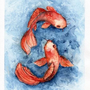 Koi